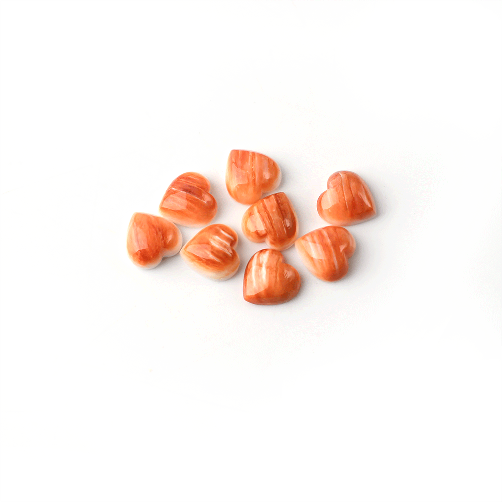 Natural Red Chrysanthemum Shell Cut Size Shape - 이미지 7