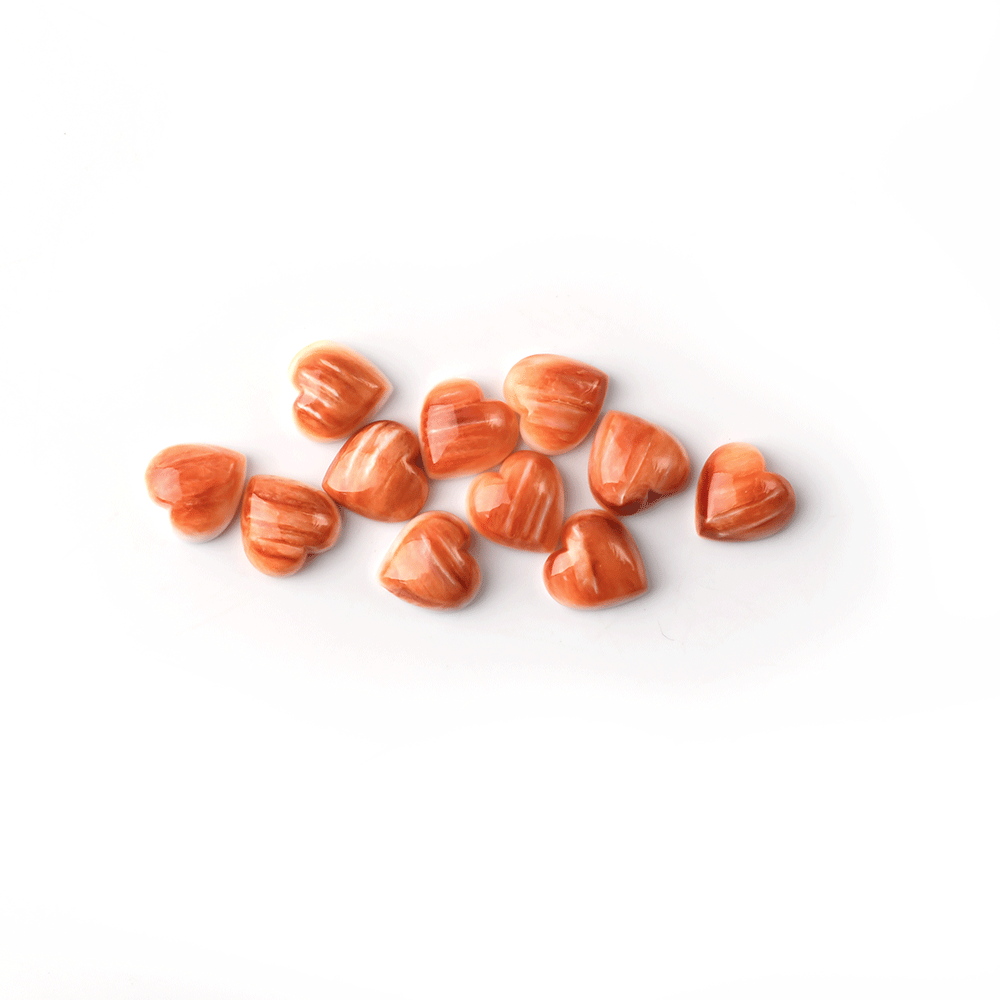 Natural Red Chrysanthemum Shell Cut Size Shape - 이미지 3