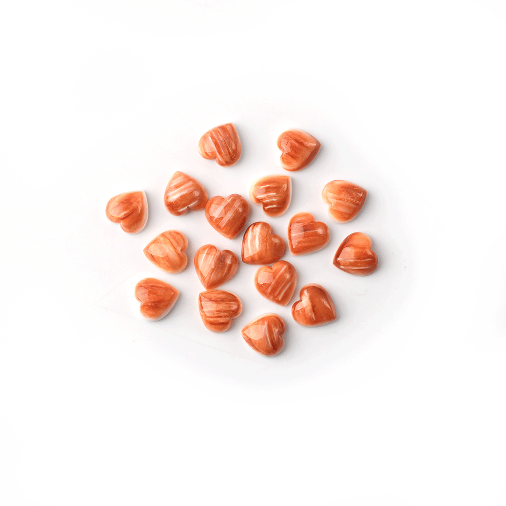 Natural Red Chrysanthemum Shell Cut Size Shape - 이미지 5